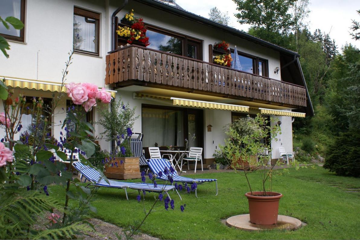 Black Forest Apartments Titisee Экстерьер фото