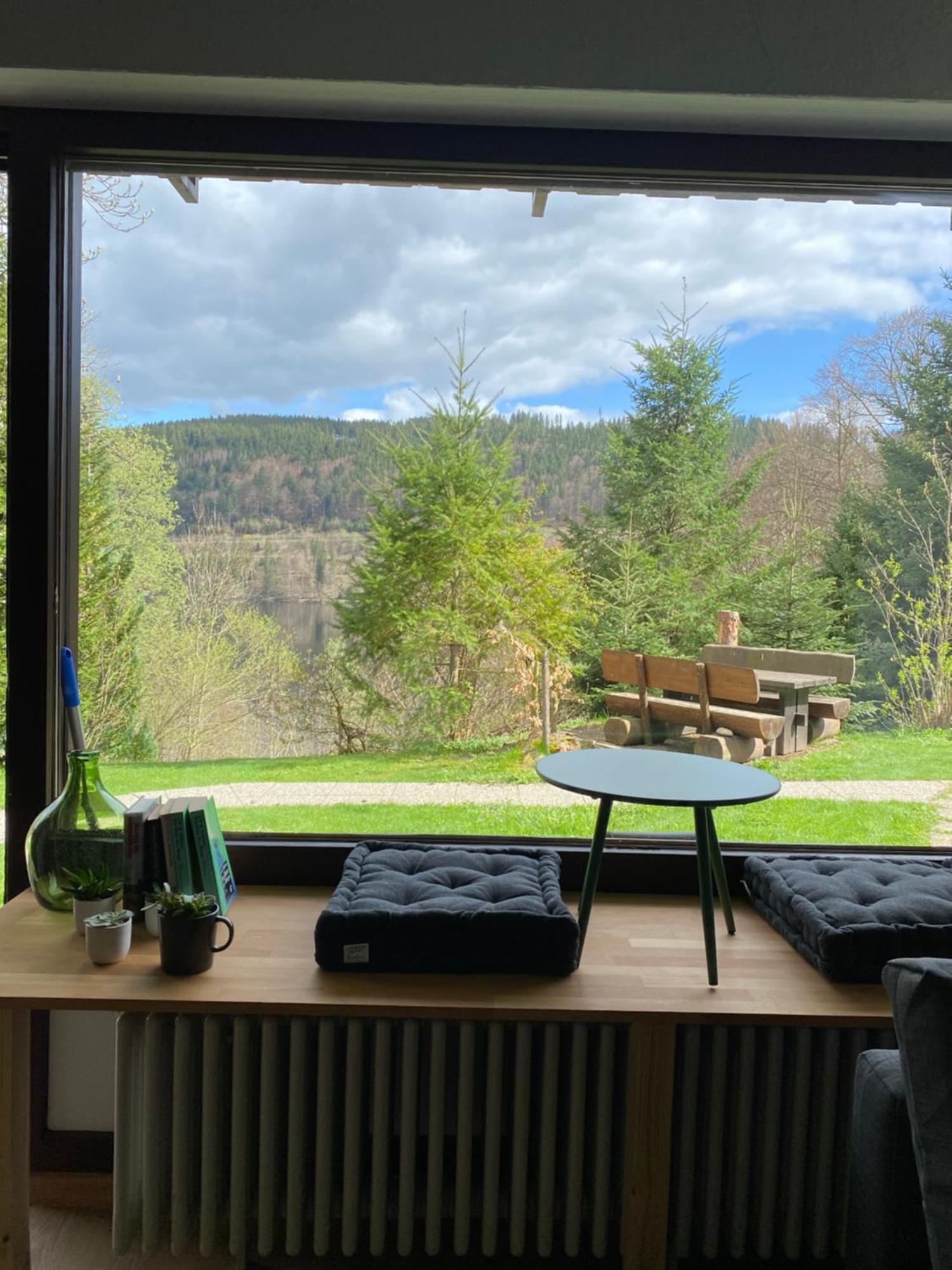 Black Forest Apartments Titisee Экстерьер фото