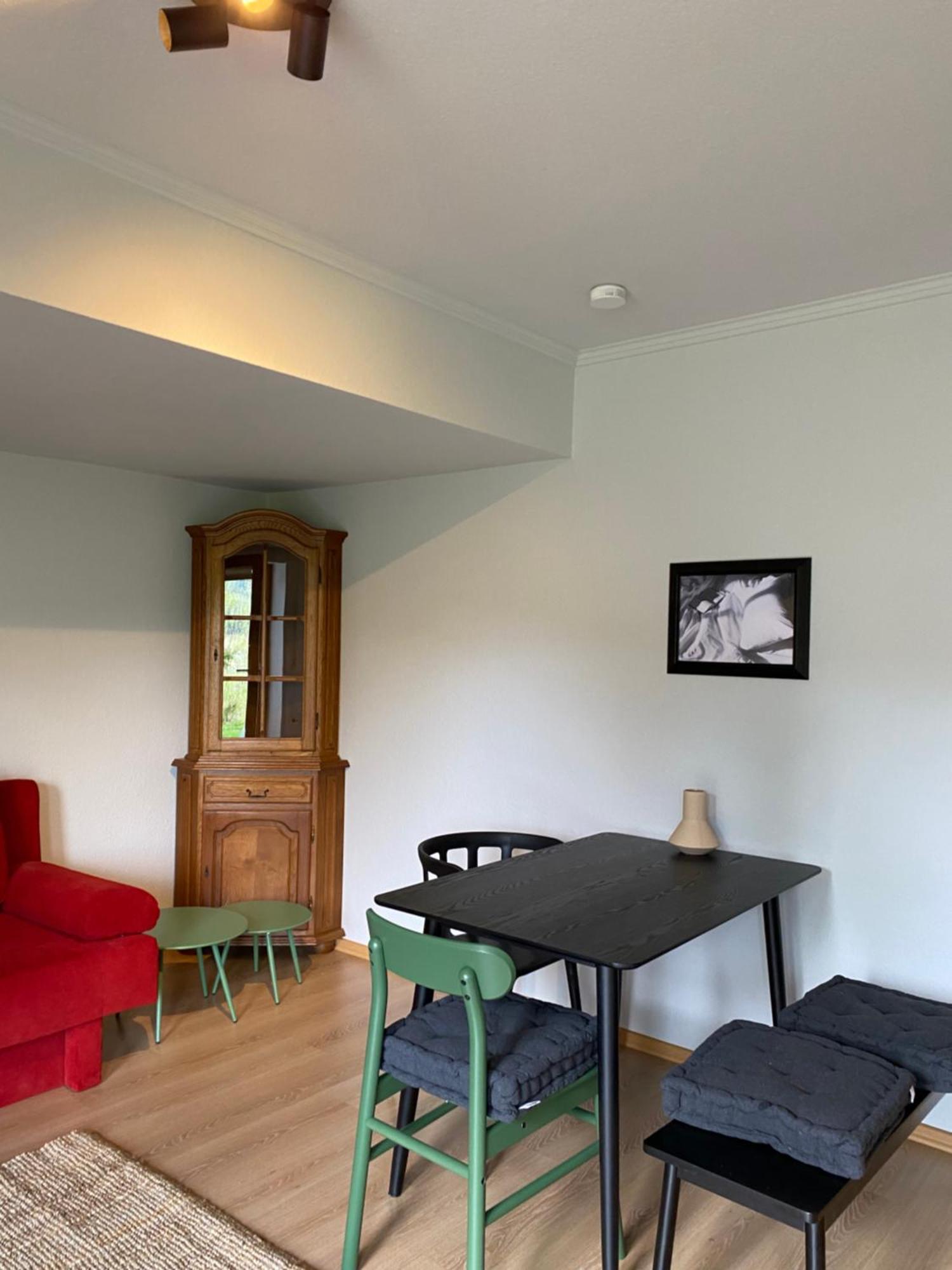 Black Forest Apartments Titisee Экстерьер фото