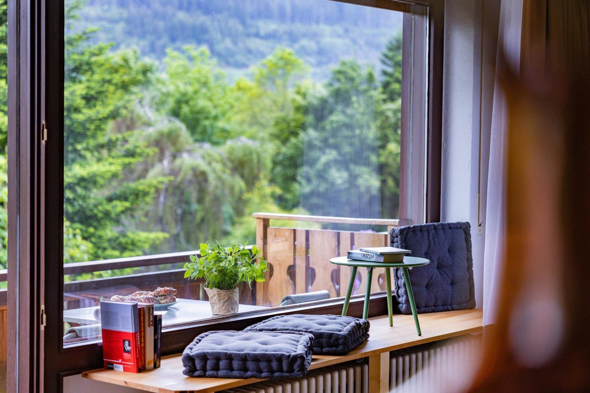 Black Forest Apartments Titisee Экстерьер фото