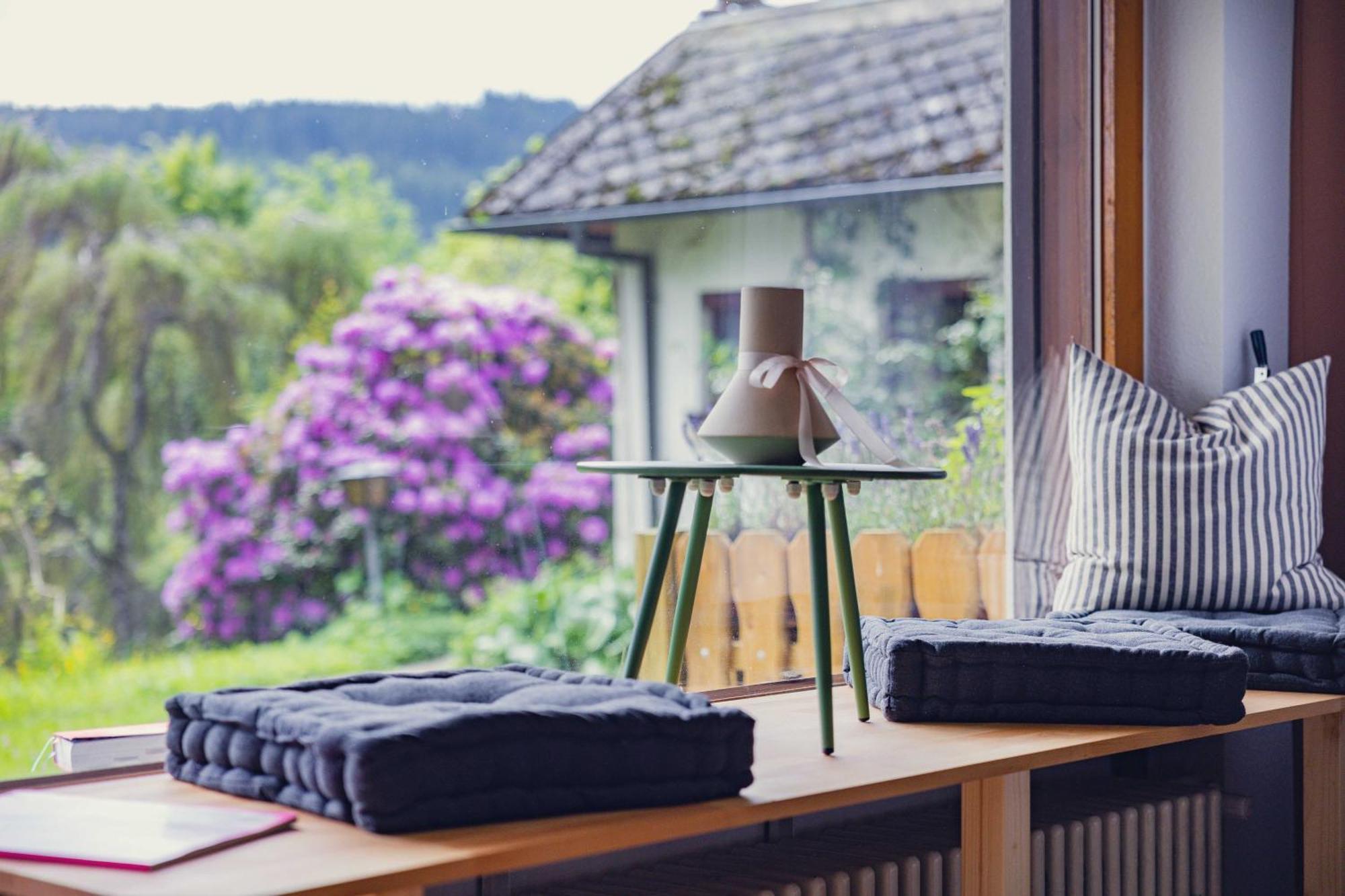 Black Forest Apartments Titisee Экстерьер фото