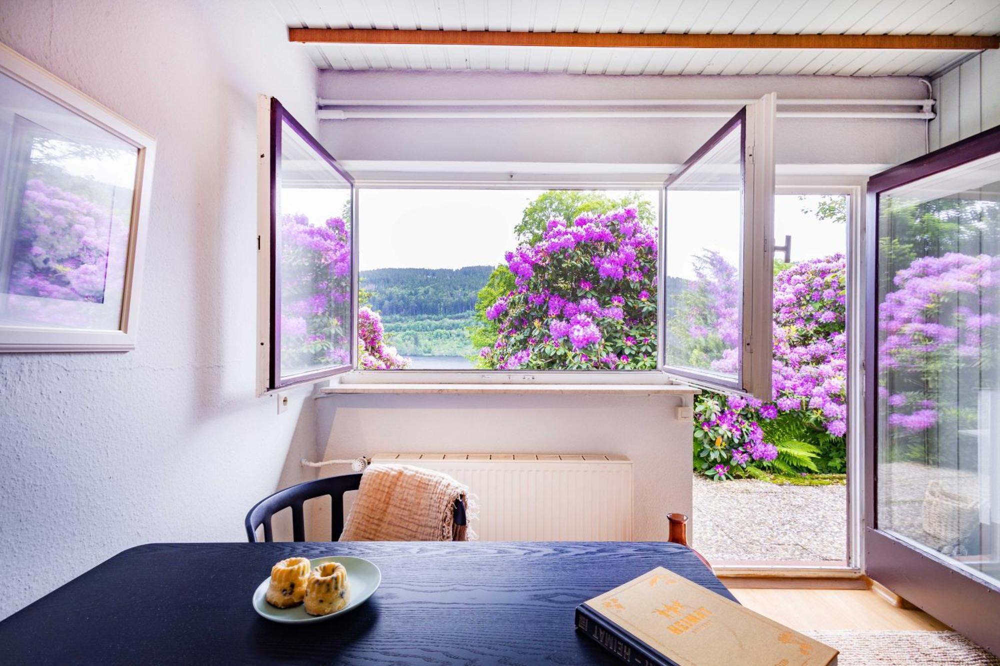 Black Forest Apartments Titisee Экстерьер фото