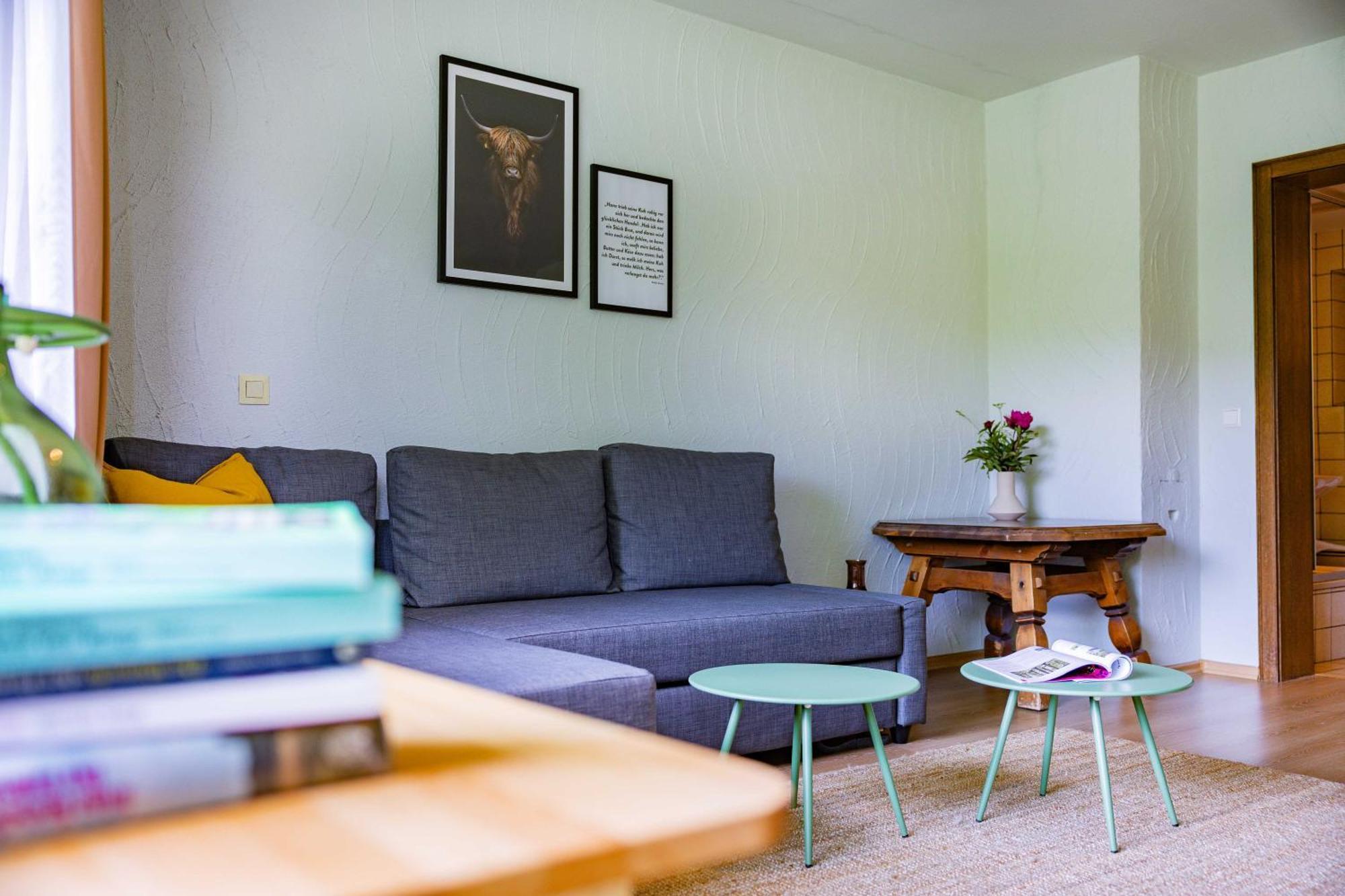Black Forest Apartments Titisee Экстерьер фото